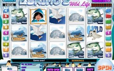 Eskimo’s Wild Life slot