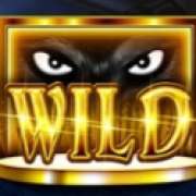 Wild symbol in Tales of Darkness: Full Moon slot