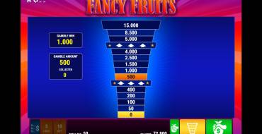 Fancy Fruits: Bonus Game 2