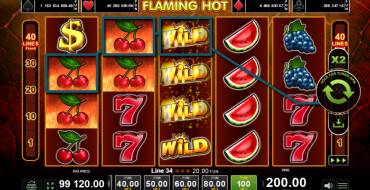 Flaming Hot: Winnings