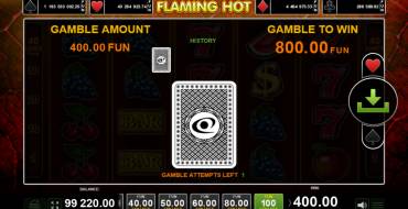 Flaming Hot: Risk game