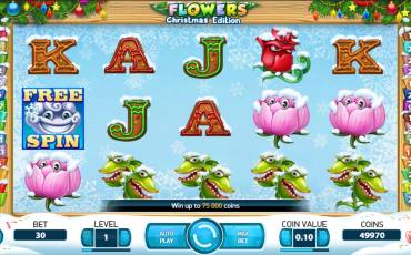 Flowers: Christmas Edition slot