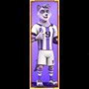 Football Mayhem: Coon