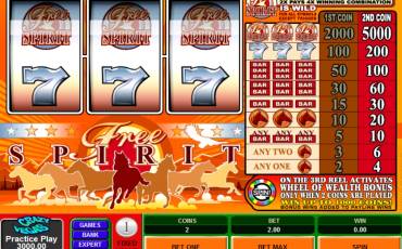 Free Spirit Wheel of Wealth slot