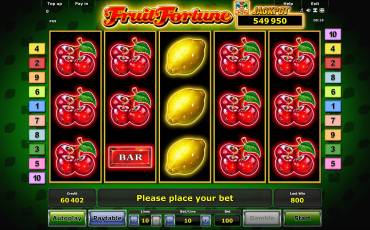 Fruit Fortune slot