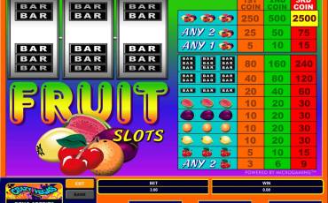 Fruit Slots slot