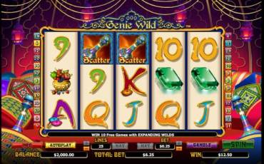 Genie Wild slot