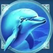 God of the Wild Sea: Dolphin