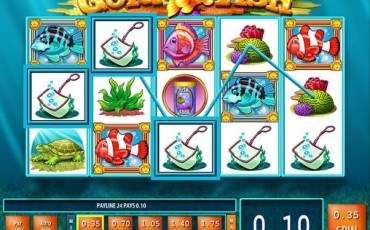 Gold Fish slot