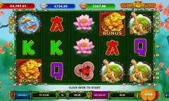 Play Golden Money Frog