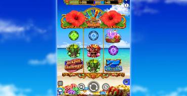 Hawaiian Dream Jackpot: Slot machine