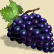 Hot & Cash: Grapes