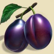 Hot & Cash: Plum