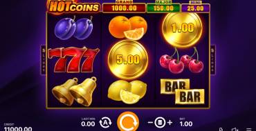 Hot Coins Hold and Win: Slot machine