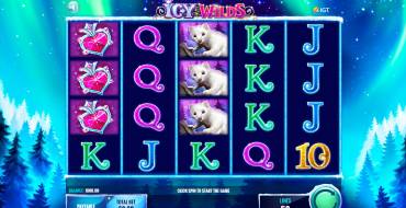 Icy Wilds: Slot machine