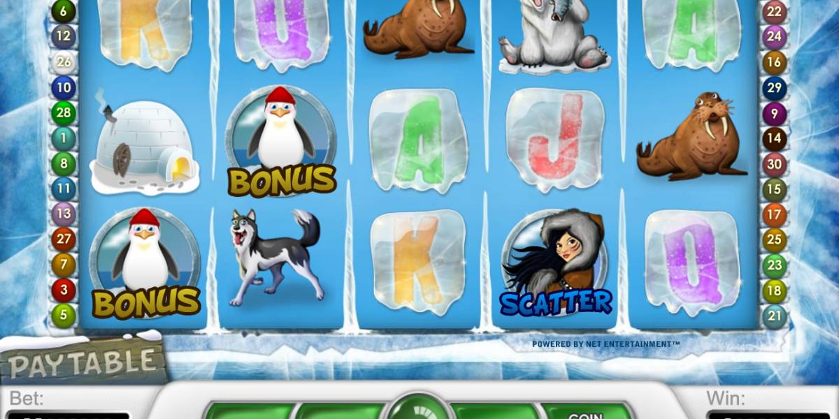 Icy Wonders slot