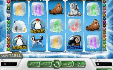 Icy Wonders slot