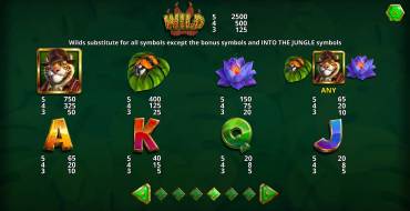 Into The Jungle Bonus Buy: Payout table