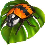 Into The Jungle: Ladybug