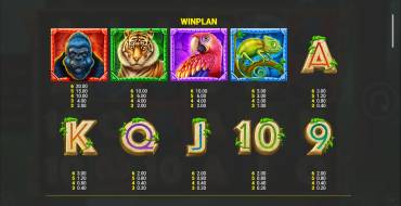 Jungle Fortune: Payout table