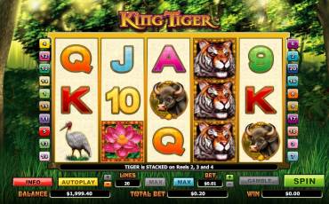 King Tiger slot