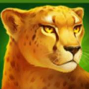 Lion Gems: Hold and Win: Pume