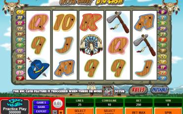 Little Chief Big Cash slot