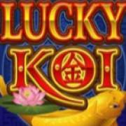 Lucky Koi: symbol