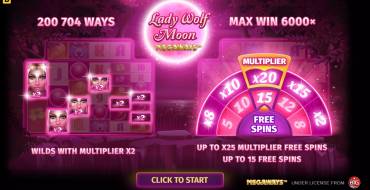 Lucky Lady Moon: Slot machine