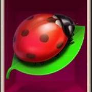 Lucky Lady Moon: Ladybug