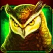 Madame Destiny: Forest owl