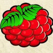 Magic Fruits 4 Deluxe: Raspberry