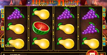 Magic Hot 4 Deluxe: Winnings