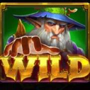 Magician's Secrets: Wild