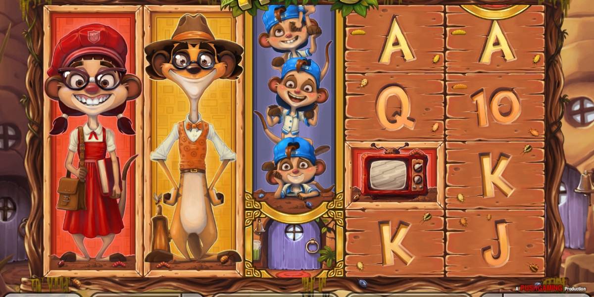 Meet the Meerkats slot