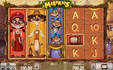 Meet the Meerkats slot