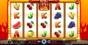 Mega Wild Fruits – On Fire: Slot machine