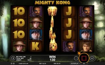 Mighty Kong slot