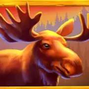 Money Moose: Deer