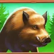 Money Moose: Boar