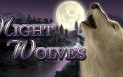 Night Wolves (Bally Wulff)