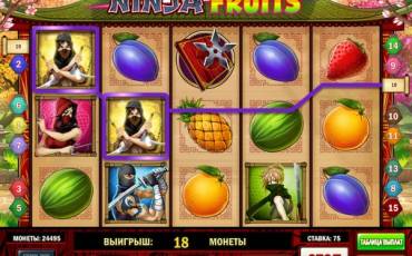 Ninja Fruits slot