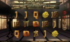 Play Ninja Master