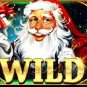 Novi God: Wild