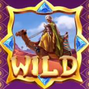 Oasis Dreams: Wild