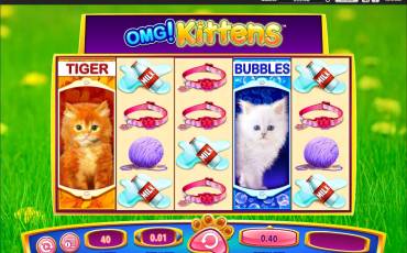 OMG! Kittens slot