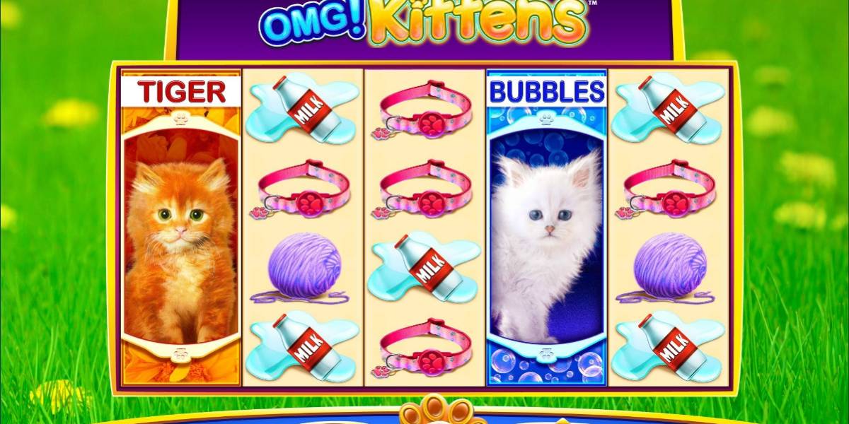 OMG! Kittens slot