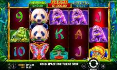 Play Panda’s Fortune