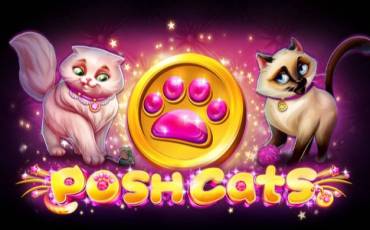 Posh Cats slot