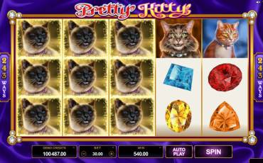 Pretty Kitty slot